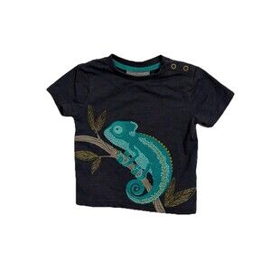 Jarvis Archer Grey T-Shirt Side Button Chameleon Aqua Grey 18 M Boy T Shirt (VG)